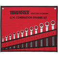 Teng 12pc Ratchet (Flat Type) Metric Spanner Set 8-19mm**