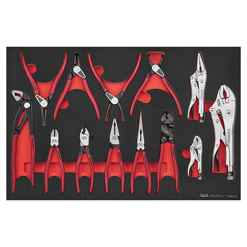 Teng 13pc Plier Set Q (EVA)