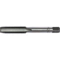 Teng Tap M12 x 1.75
