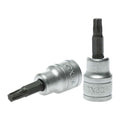 Teng 3/8in Dr. TX Bit Socket TX30