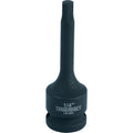 Teng 1/2in Dr. Hex Bit Impact Socket 1/4
