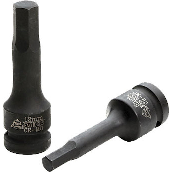Teng 1/2in Dr. Hex Bit Impact Socket 19mm DIN