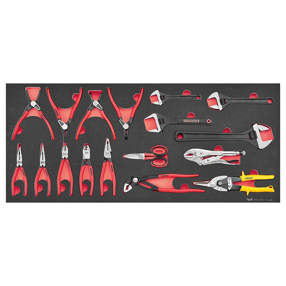 Teng 17pc Plier Set FOAM6X6